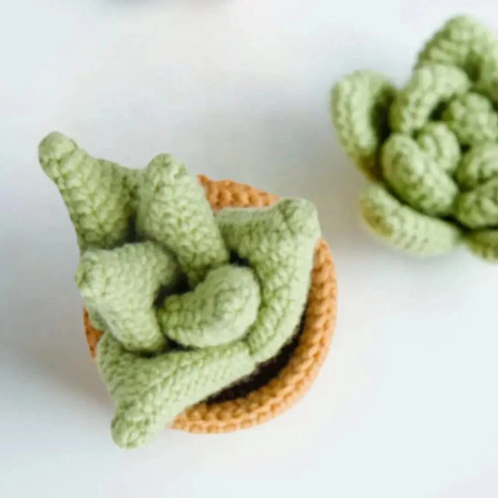 Crochet Houseplant Patterns 8