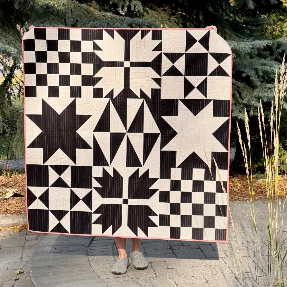 Sampler Quilt 2